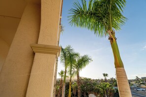 Property grounds - Las Mañanitas LM E3302 (San José del Cabo)