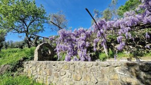 A stone wall with a rustic archway, lush greenery, and purple wisteria vines.