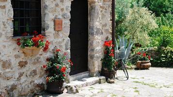 Terrein van de accommodatie