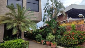 Un edificio con ampie finestre, un vialetto lastricato e diversi vasi con piante e fiori.