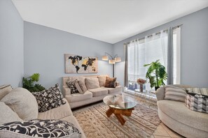 Smart TV, fireplace, books