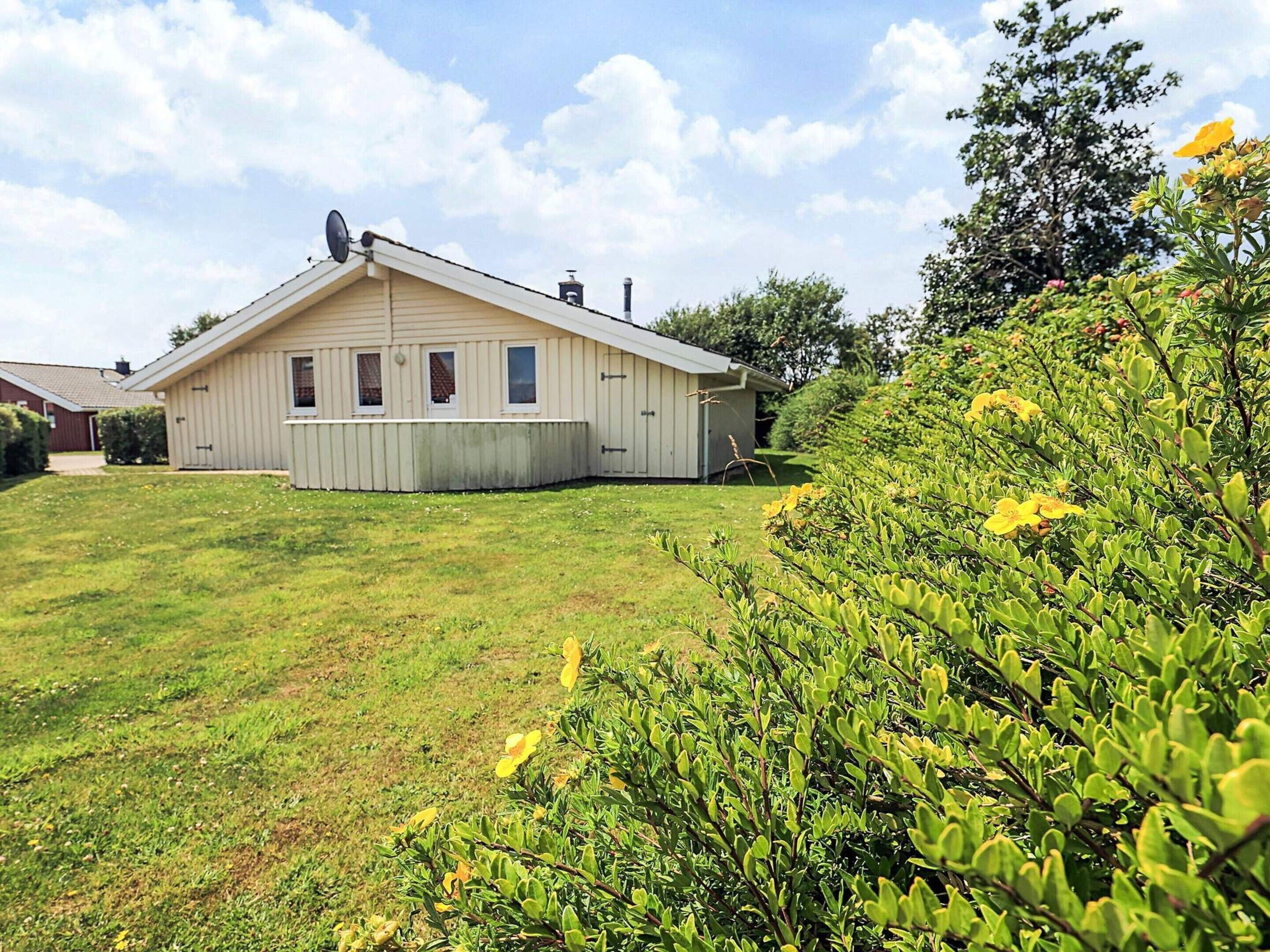 House | Property grounds