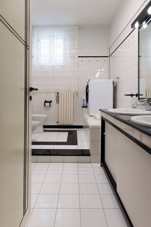 Shower, hair dryer, bidet, towels