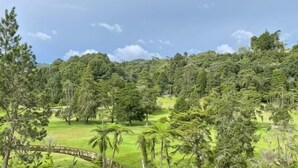 A lush green landscape with a bridge and dense trees. - PLAY at Iris Resort Tanah Rata (Cameron Highlands)