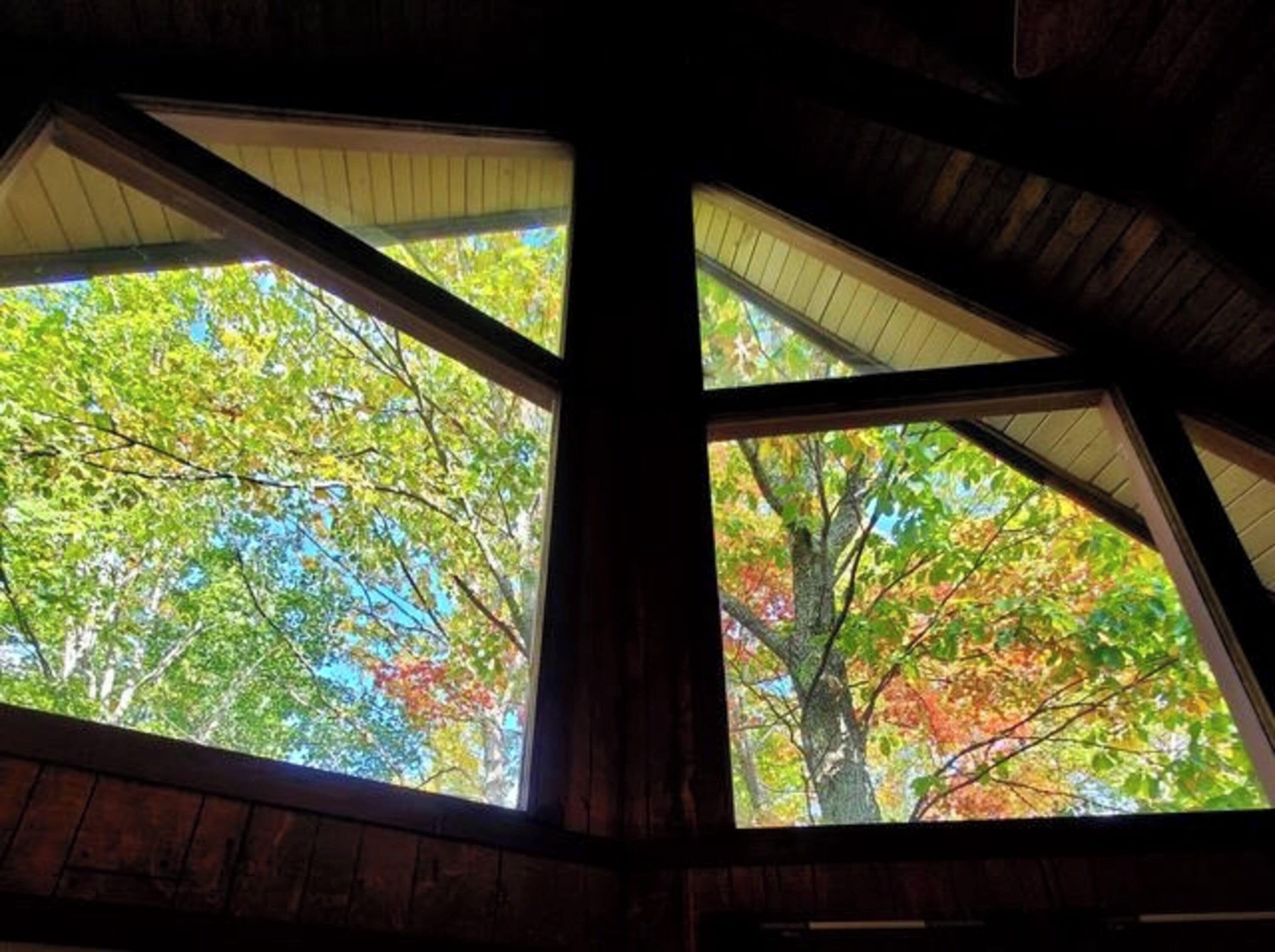 A room with two windows, each offering a view of trees with green and autumn-colored leaves.