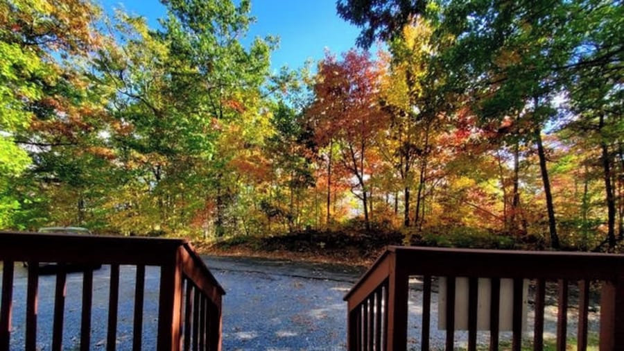 Gatlinburg Mountain Cabin