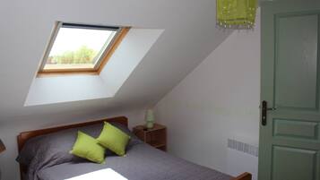 A bedroom with a sloped ceiling, a skylight, a bed with pillows, a bedside table with a lamp, and a door.