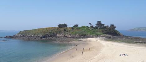 Una playa con arena, una colina pequeña con árboles y agua tranquila.
