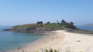 A beach with a sandy shore, a small hill with trees, and calm water.