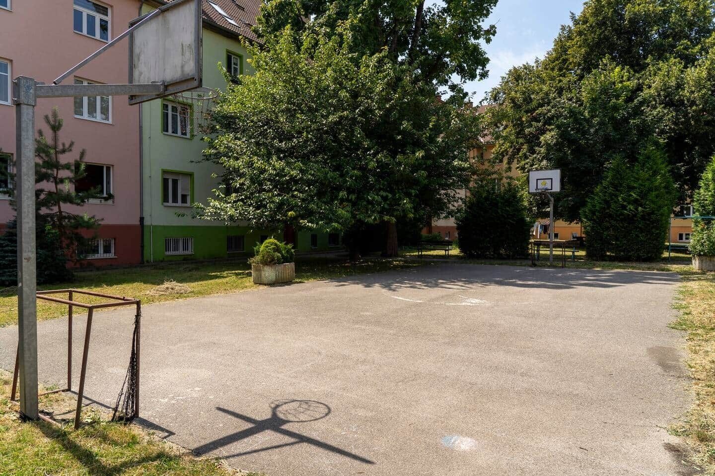Cancha de baloncesto al aire libre con aro, rodeada de árboles y edificios.