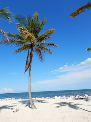 On the beach, sun-loungers, beach towels