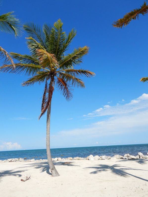 Sun-loungers, beach towels