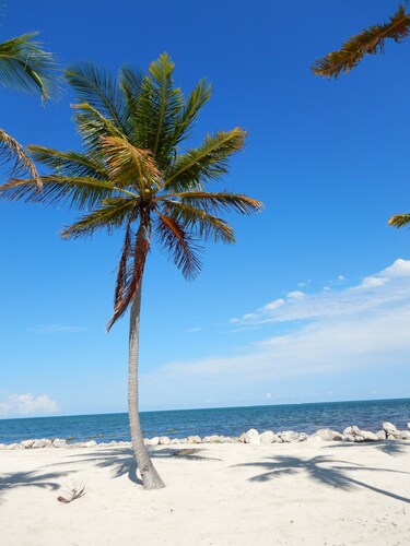 Marvelous 2-bedroom house with Marina and free Golf cart in Key Largo