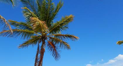 Marvelous 2-bedroom house with Marina and free Golf cart in Key Largo