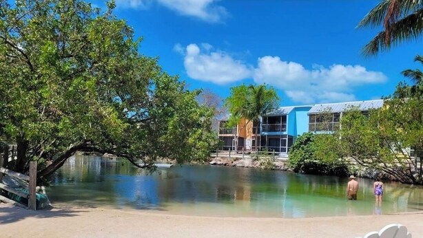 A beach with white Adirondack chairs, a clear pool, and a building with blue and white exterior walls. - NEW ! Lagoon-front townhouse with Marina! Day Dreams Key Largo. (Key Largo)