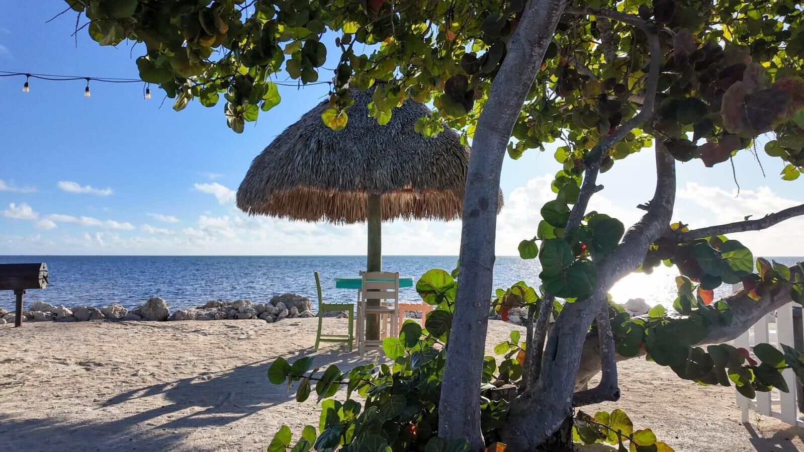 Plage, chaises longues, serviettes de plage