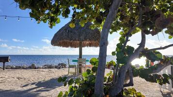 Plage, chaises longues, serviettes de plage