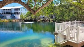 A clear water body with a wooden deck and railing, surrounded by trees and a building in the background. - NEW ! Lagoon-front townhouse with Marina! Day Dreams Key Largo. (Key Largo)