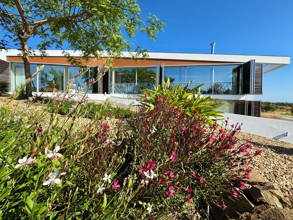 Detalle del exterior