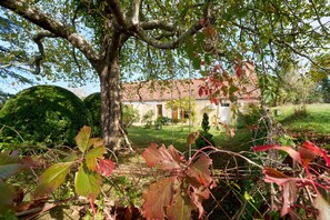 Property grounds - Gite de La Fontaine de Laumede (Saint-Chamassy)