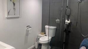 A modern bathroom with a glass-enclosed shower, a toilet, and a bathtub.