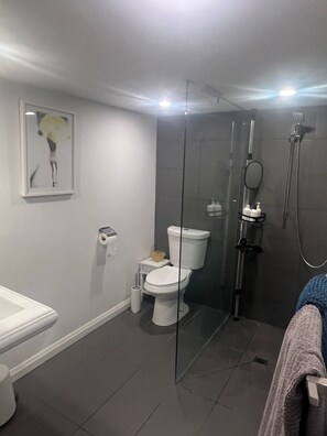 Regadera, secadora de cabello, toallas, jabón 