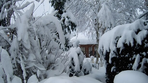 A snow-covered landscape with trees and a building in the background. - Studio '38 sqm' with Terrace, Shared Garden and Wi-Fi (Unterkirnach)