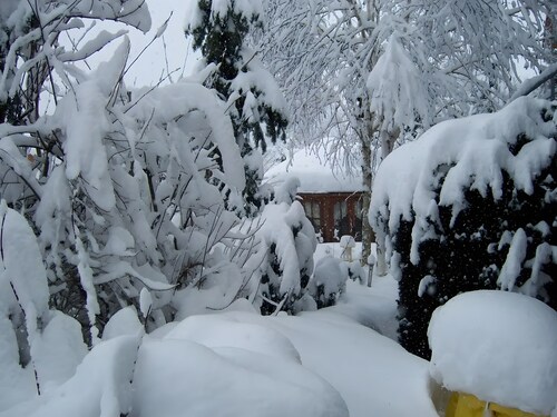 Studio '38 sqm' with Terrace, Shared Garden and Wi-Fi