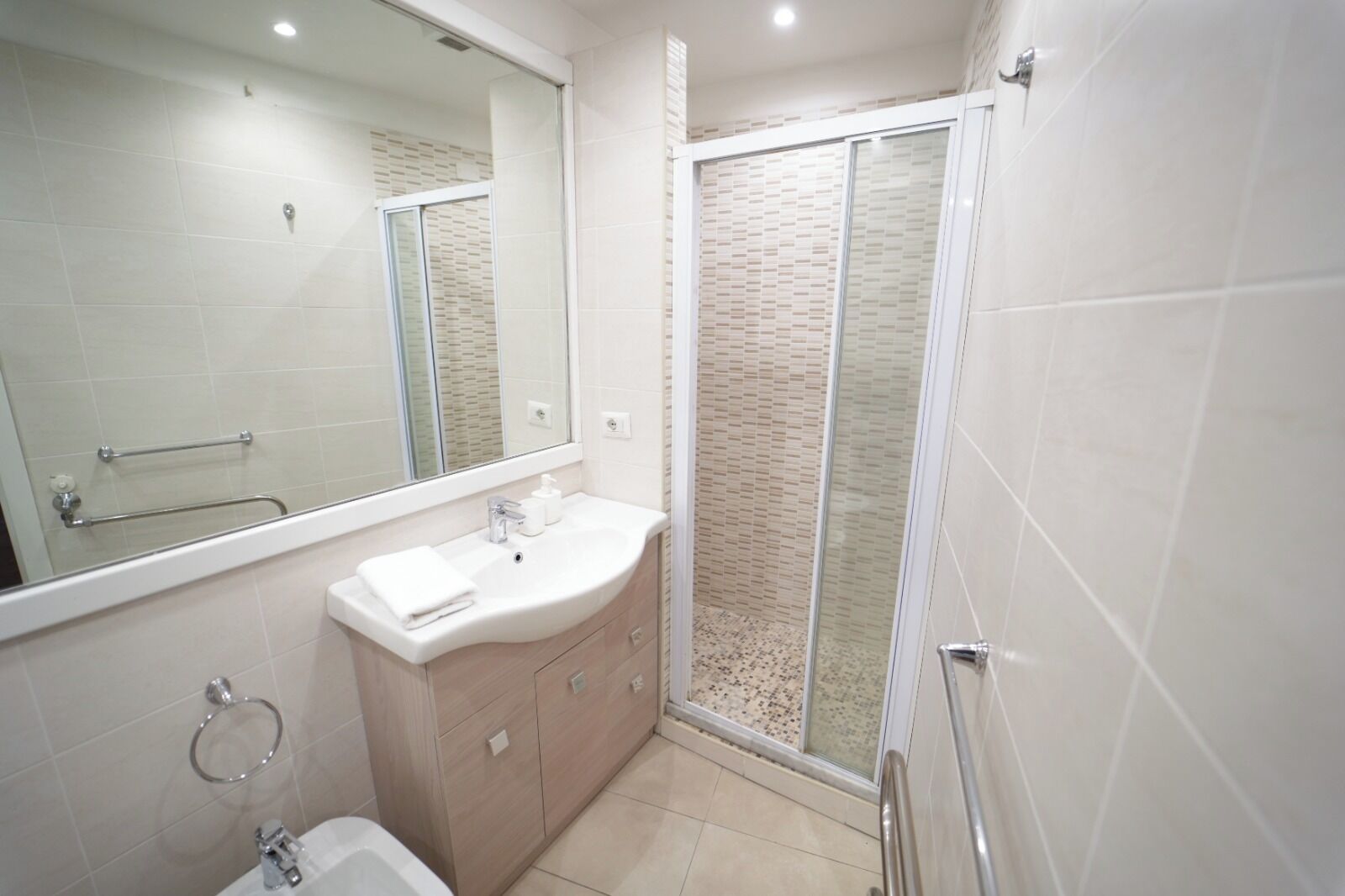 Shower, hair dryer, bidet, towels