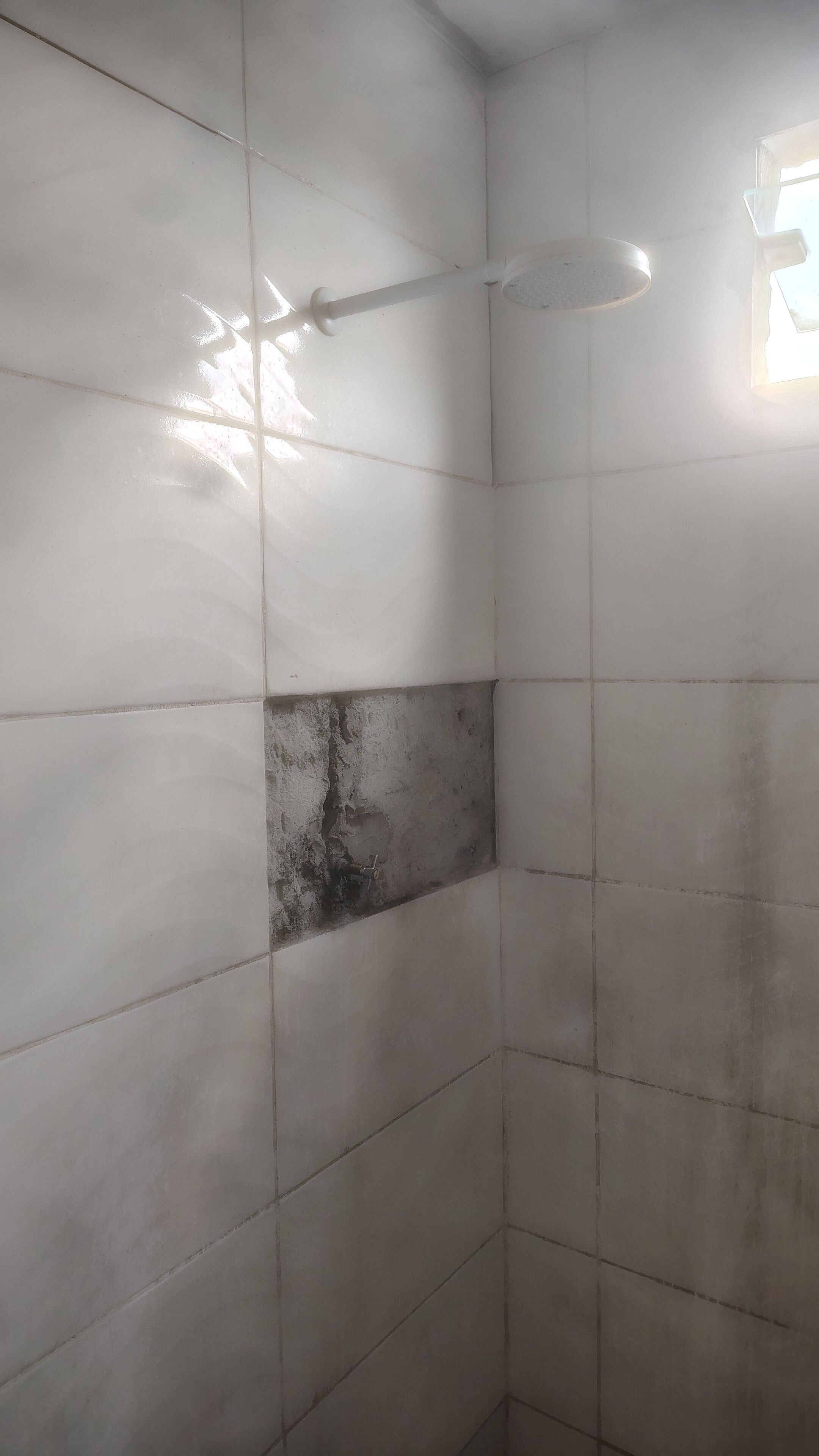 Toalhas de banho, sabonete, papel higiênico 