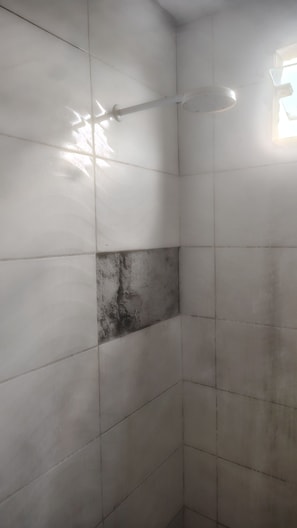 Serviettes fournies, savon, papier toilette