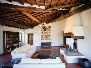 Smart TV, fireplace, books, stereo