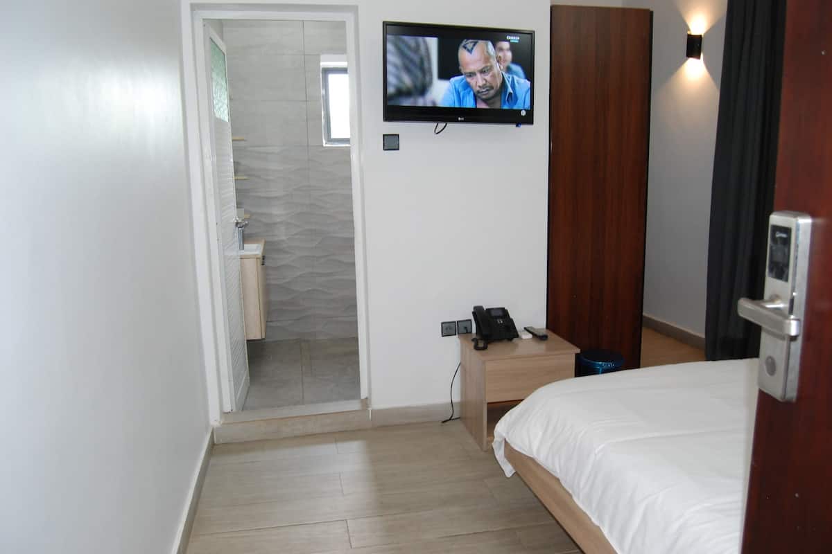 A hotel room with a bed, a desk with a telephone, a television mounted on the wall, and a shower area.