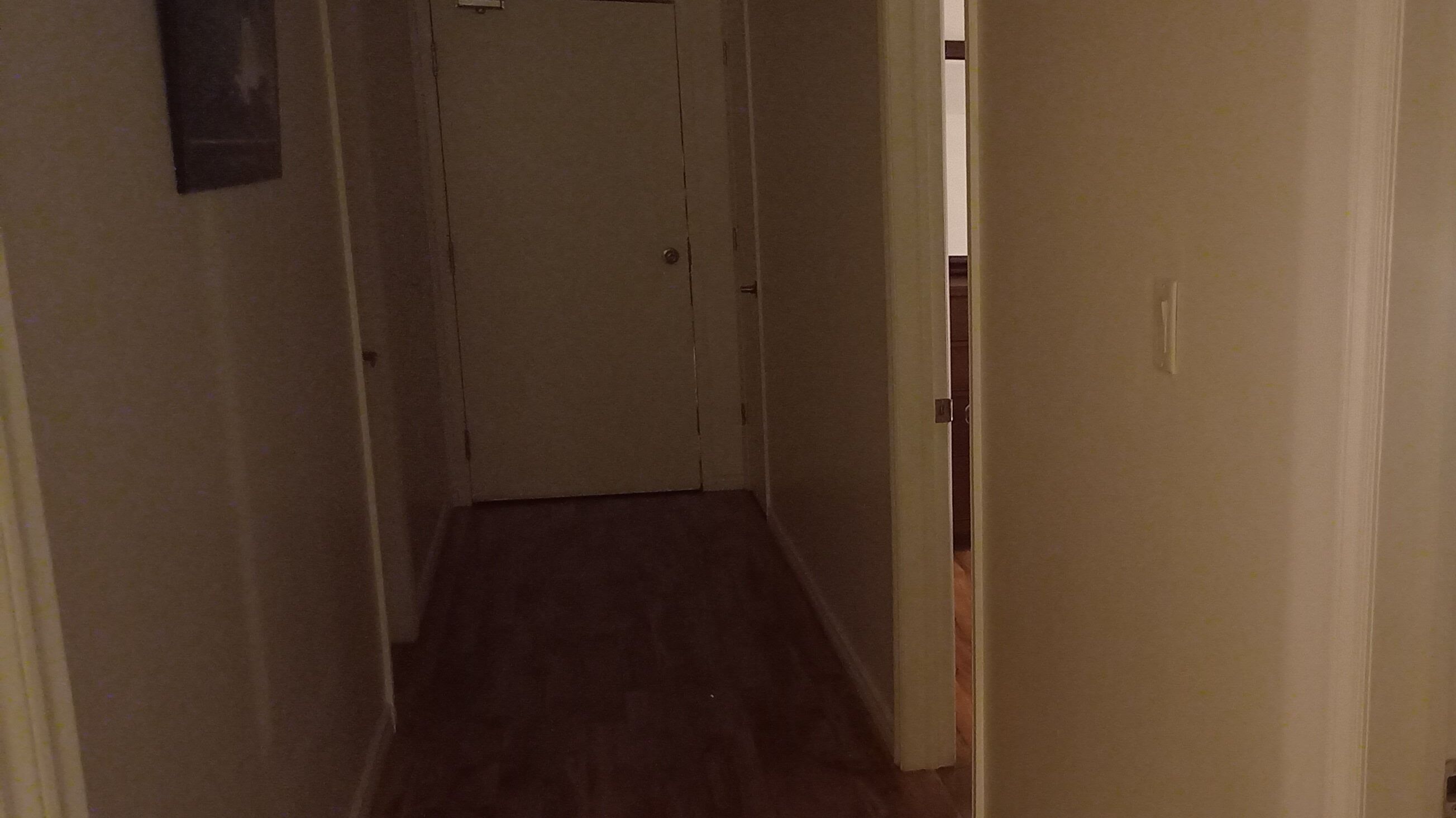 A narrow hallway with a closed door at the end.
