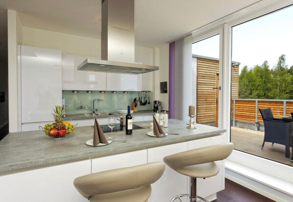 Oven, stovetop, dishwasher