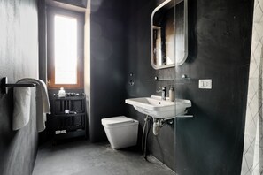 Shower, hair dryer, bidet, towels