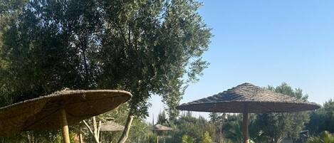 コンフォート トリプルルーム プールビュー | ガーデン ビュー