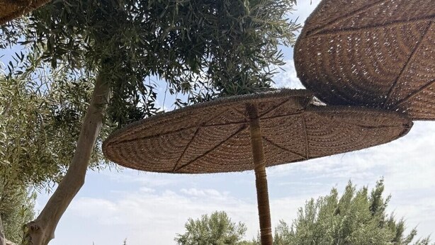 An outdoor seating area with green upholstered chairs and a table, a pool, and a thatched umbrella. - Dar mimosa (Sidi Kaouki)