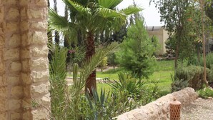 A garden with a palm tree, various plants, and a stone wall. - Dar mimosa (Sidi Kaouki)