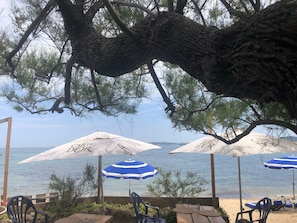 Espace extérieur aménagé avec des parasols, une table en bois et des chaises, situé près d’une étendue d’eau.