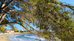 A beach with waves, a tree, and a building in the background.
