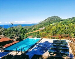 Outdoor pool, sun loungers