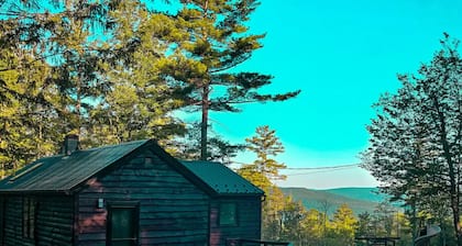 Views, Pines & Perfect Vibes