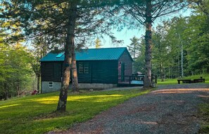 Exterior - Views, Pines & Perfect Vibes (Middleburgh)