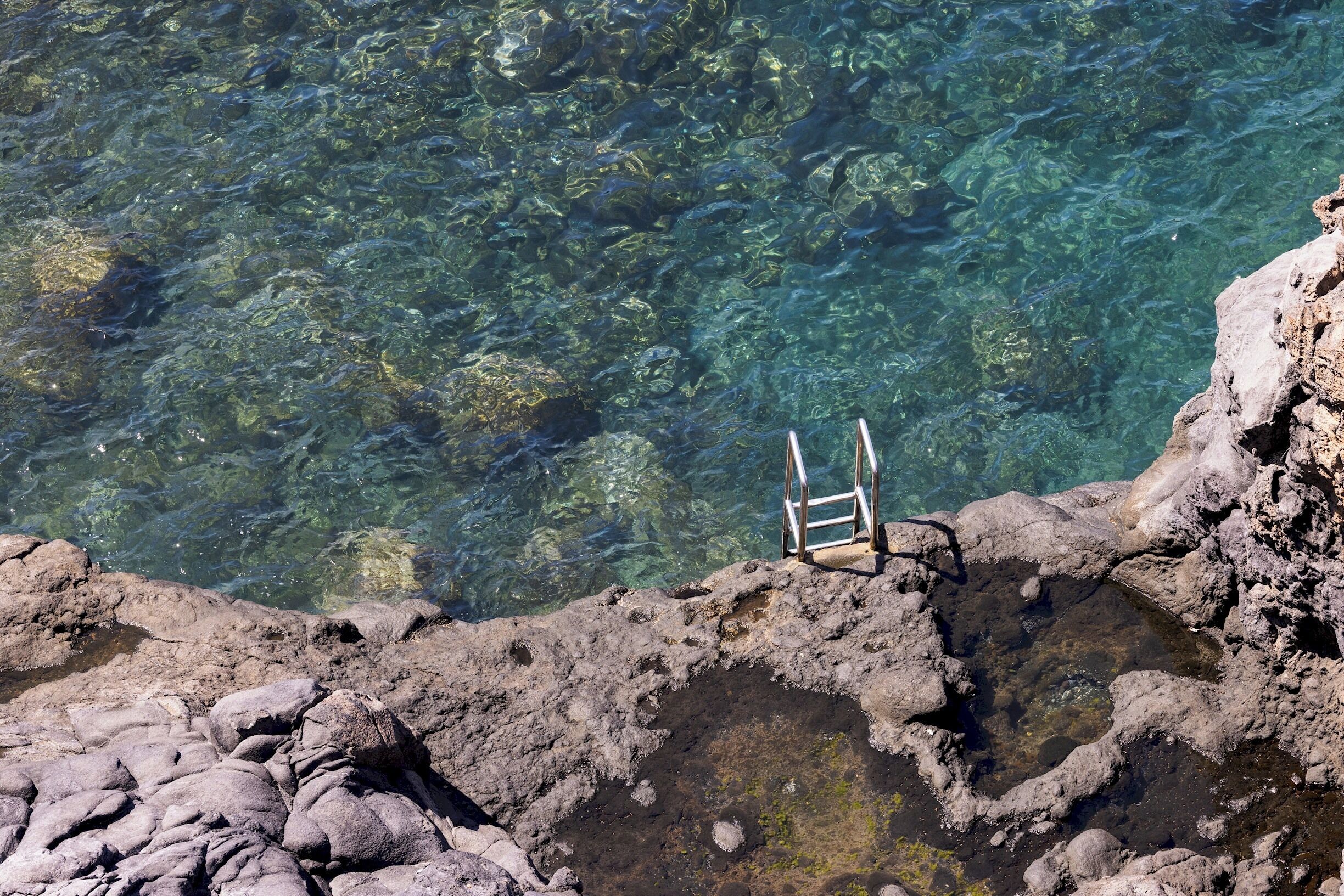 A clear view of a rocky shoreline with a metal ladder leading into the water.