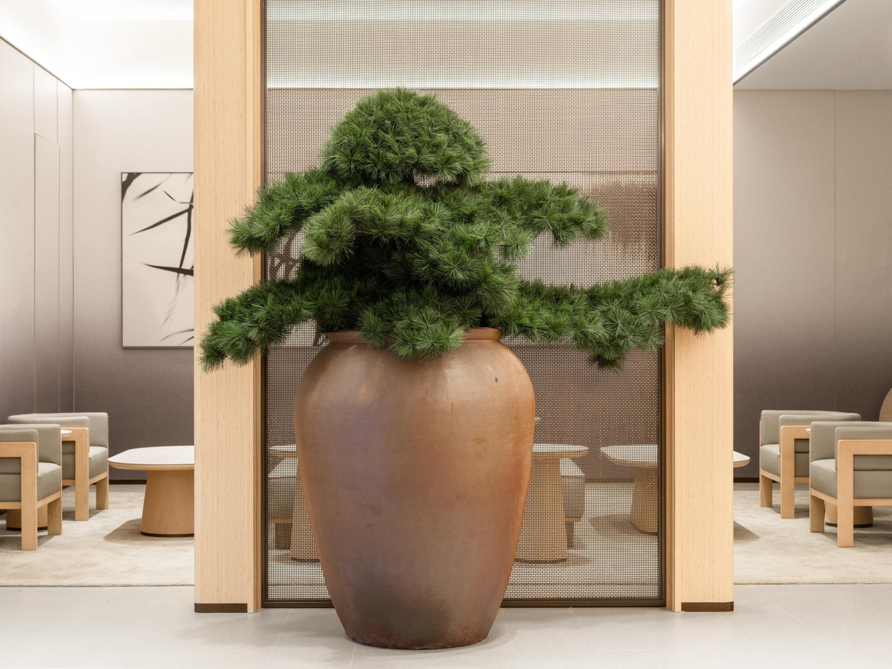 A large terracotta pot with a topiary plant in a modern interior space with wooden furniture and a decorative screen.