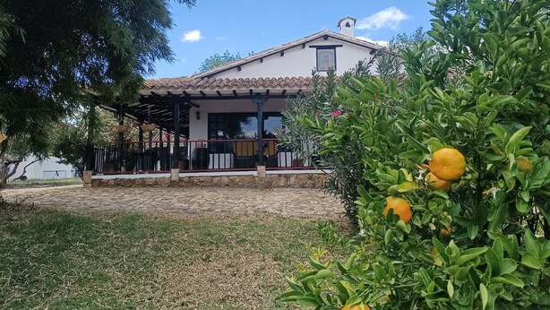Uma casa com telhado de telhas, varanda coberta e um jardim com árvores de cítricos.