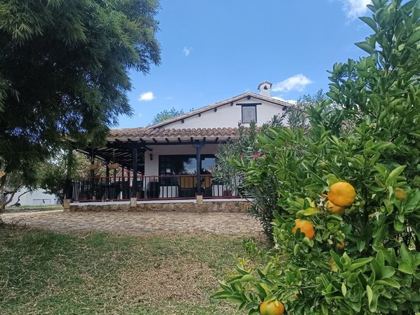 Property grounds - ESTANCIA VILLA BLANCA (Sáchica)