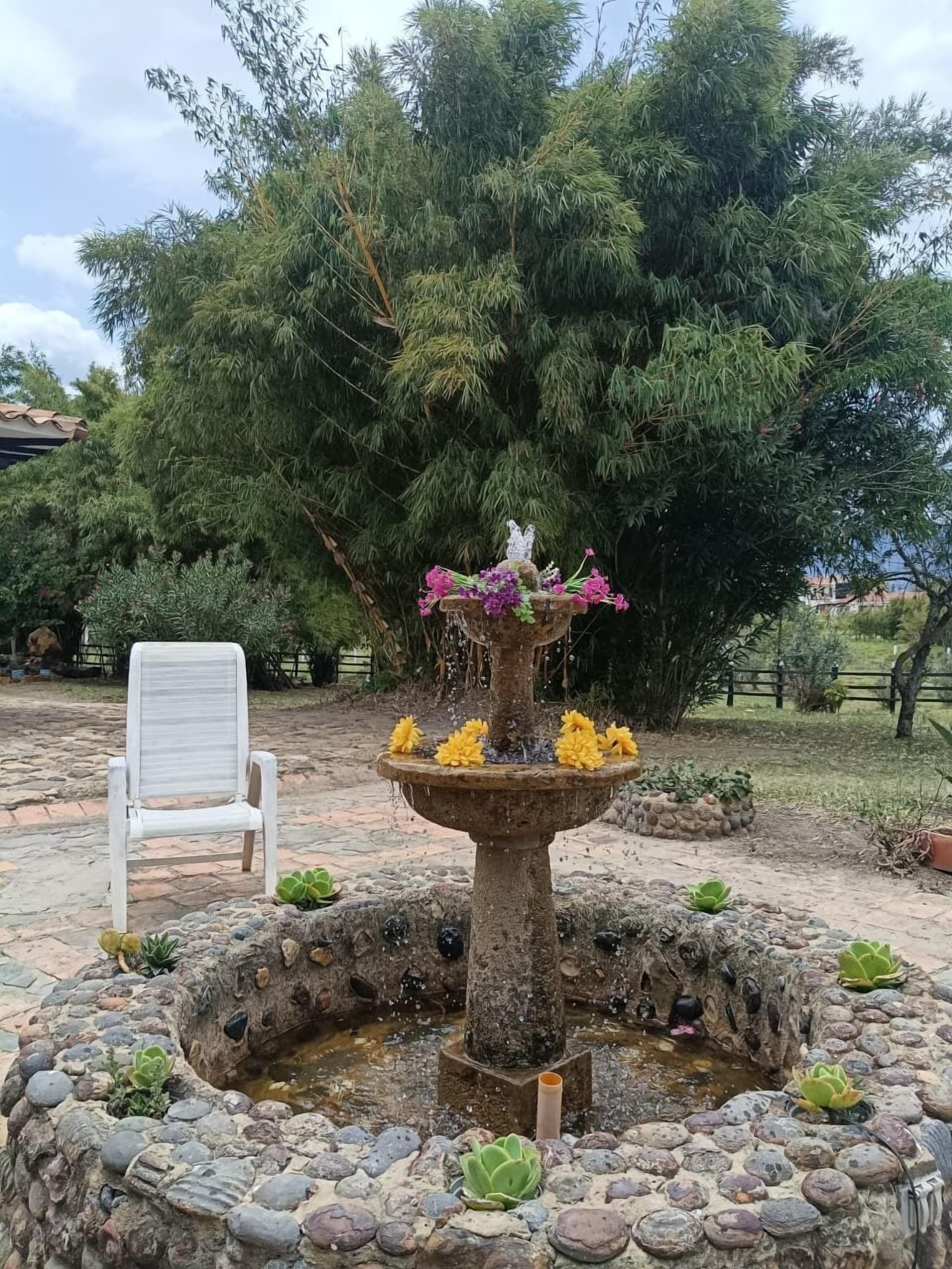 Áreas de la propiedad