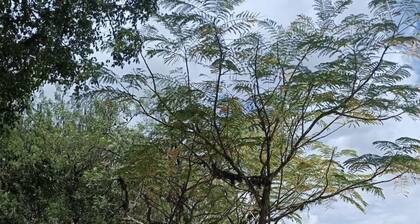 ESTANCIA VILLA BLANCA